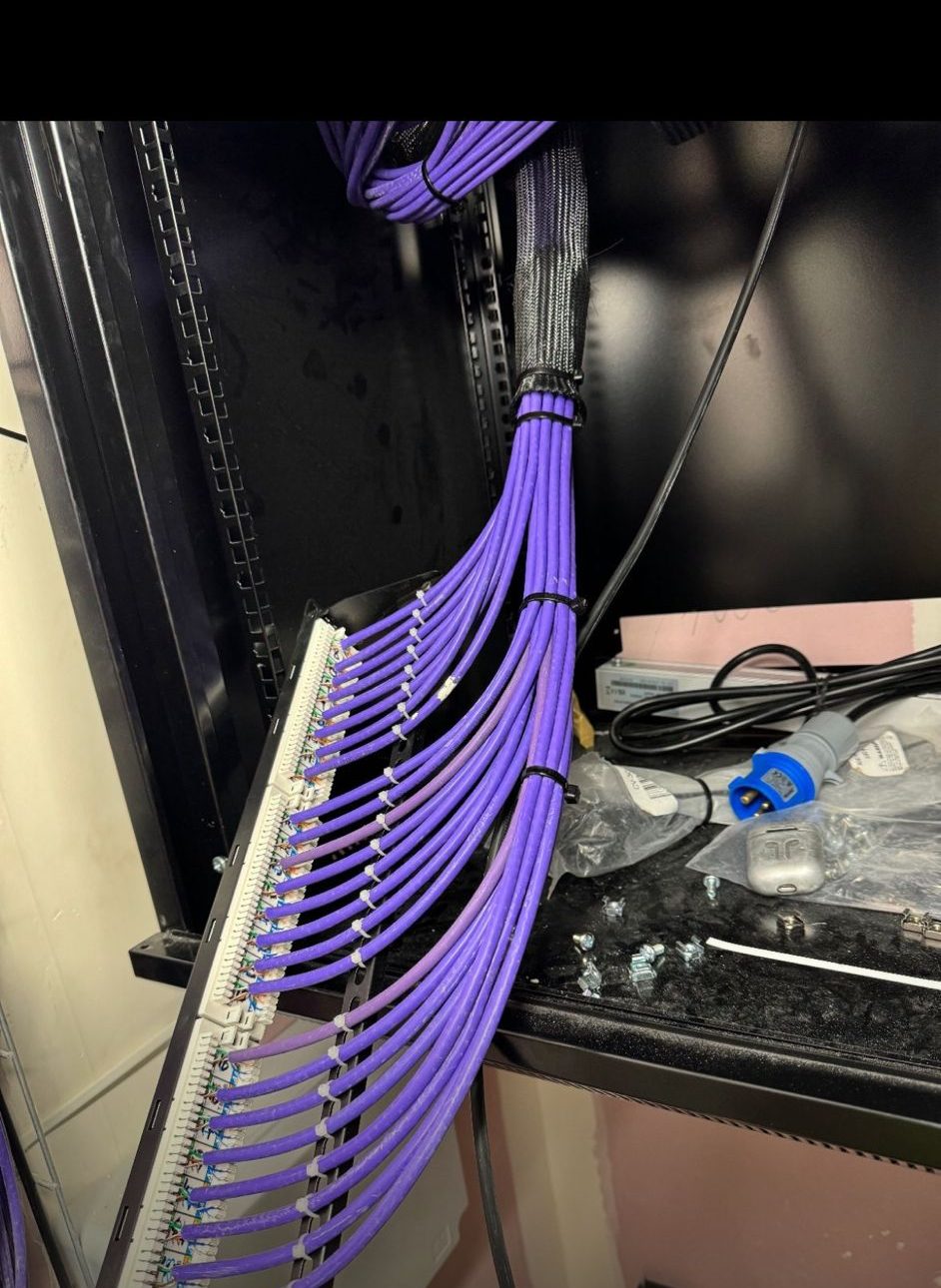 Purple Cat6 patch leads dressed into a patch panel